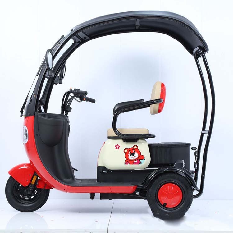 Hot Sale Electric Tricycle E Trike 3 Wheel Electric Bike 800W 1000W Three Wheel Electric Cargo Tricycle for Adults