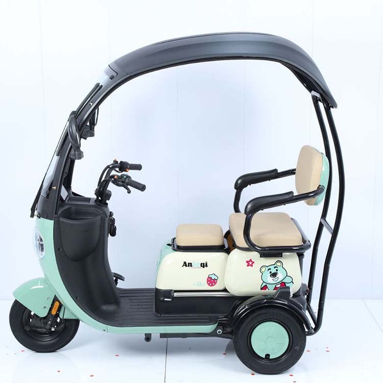 Hot Sale Electric Tricycle E Trike 3 Wheel Electric Bike 800W 1000W Three Wheel Electric Cargo Tricycle for Adults