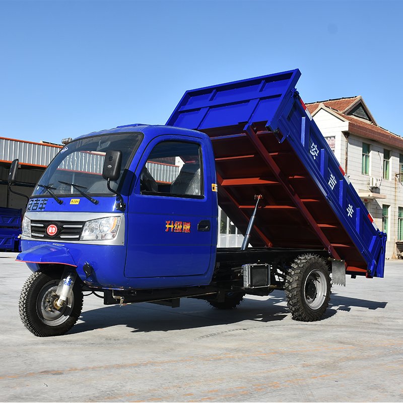 Docker Tricycle Motorcycle Commercial Tricycle Gasoline Engine Cargo Tricycle