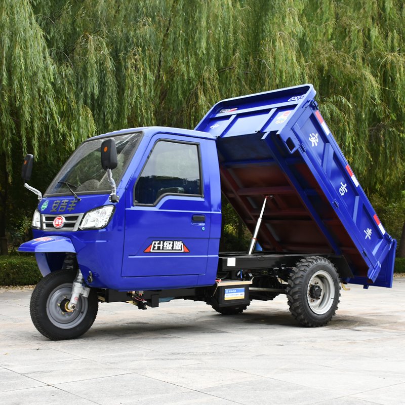 Docker Tricycle Motorcycle Commercial Tricycle Gasoline Engine Cargo Tricycle