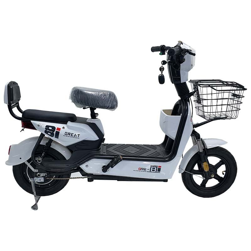 JY 350W 30km/h Front and Rear Dual Drum Brakes Electric Bicycle Mini Electric Vehicle