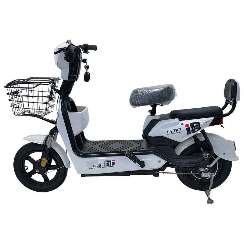 JY 350W 30km/h Front and Rear Dual Drum Brakes Electric Bicycle Mini Electric Vehicle