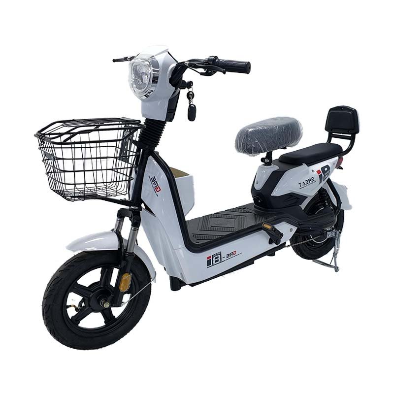 JY 350W 30km/h Front and Rear Dual Drum Brakes Electric Bicycle Mini Electric Vehicle