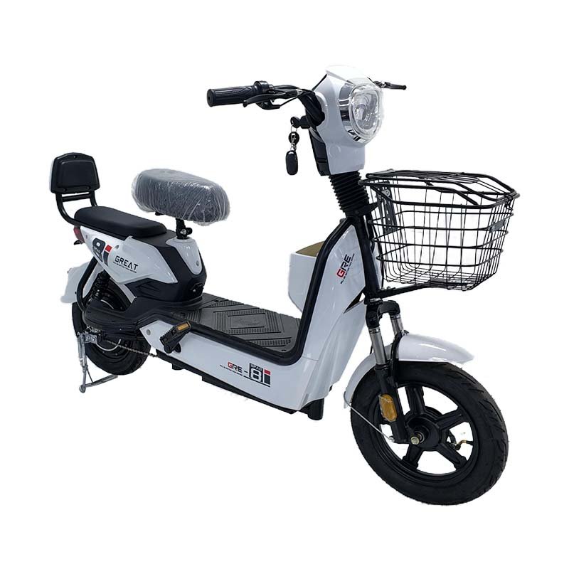 JY 350W 30km/h Front and Rear Dual Drum Brakes Electric Bicycle Mini Electric Vehicle