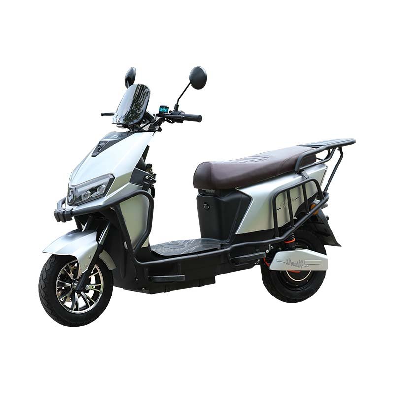 SY Hot Selling 1000W 45km/h Front Disc Brake Rear Drum Brake Electric Motorcycle Electric Bicycle
