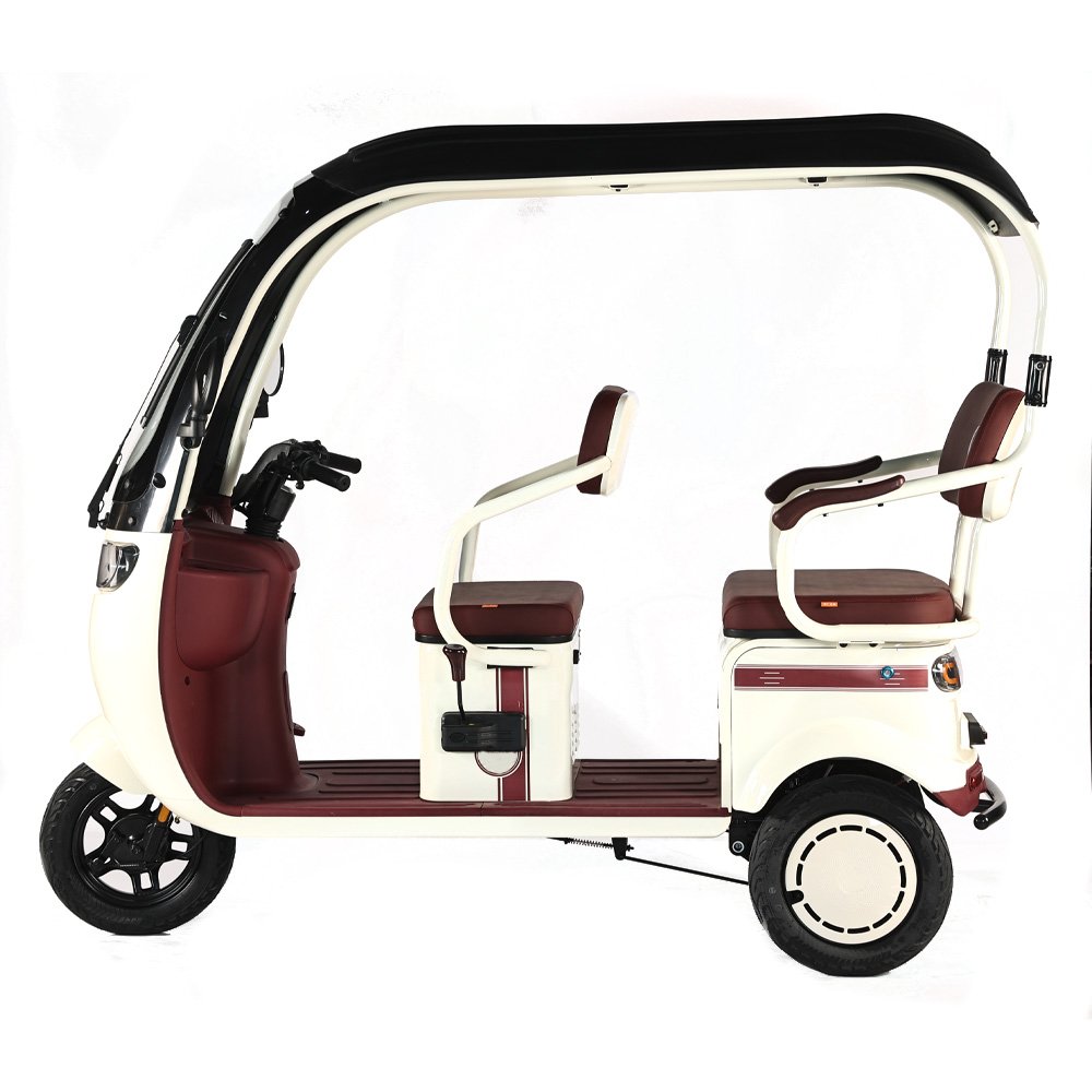 Wholesale 800W 3 Wheeler Electric Bicycle Family Use Electric Tricycle Bike 3 Wheel Electric Scooter for Adults
