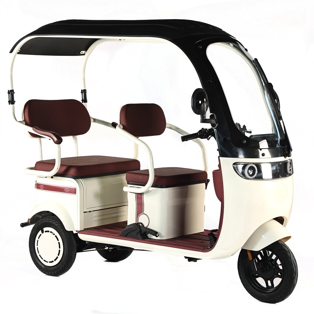 Wholesale 800W 3 Wheeler Electric Bicycle Family Use Electric Tricycle Bike 3 Wheel Electric Scooter for Adults