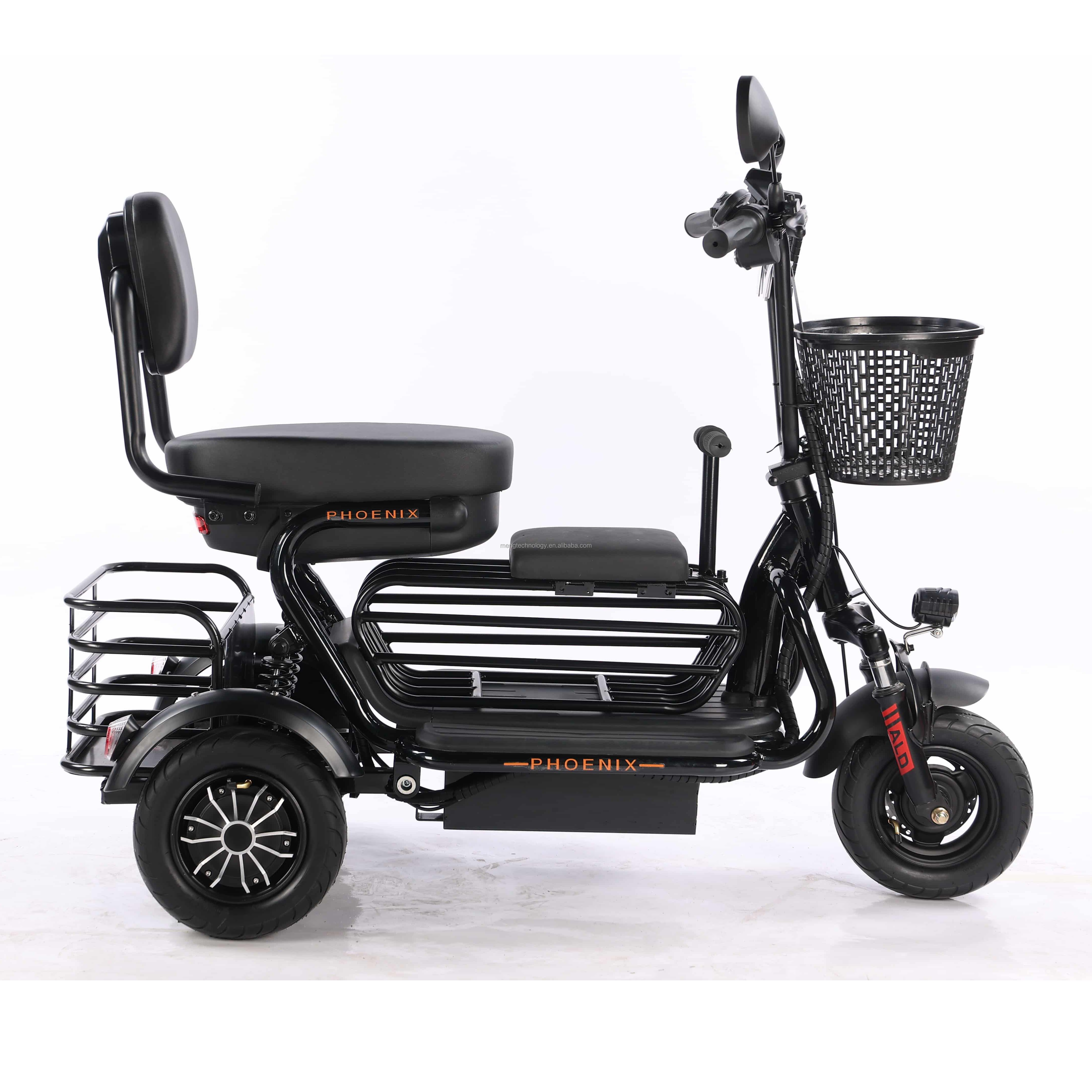 3 Wheel Bike for Kids 350w Electric Tricycle for Adults Foldable