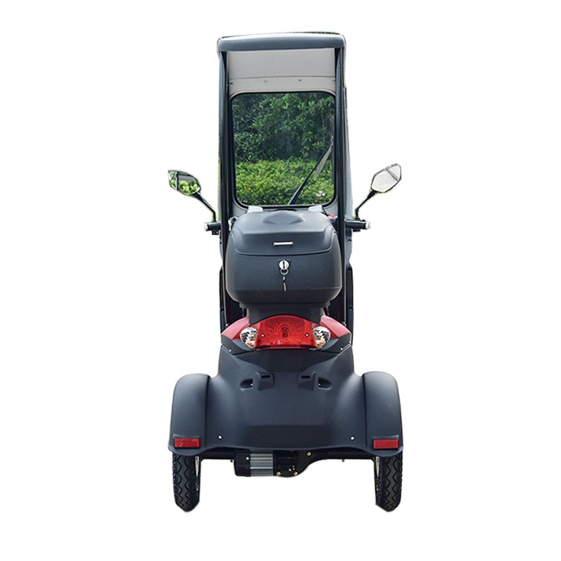 800w Electric Small Bike Electric Tricycle With Pedal Assisted