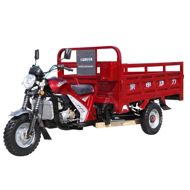 300cc Gasoline Tricycle Cargo and Passengertricycle Three Wheels Motorcycle