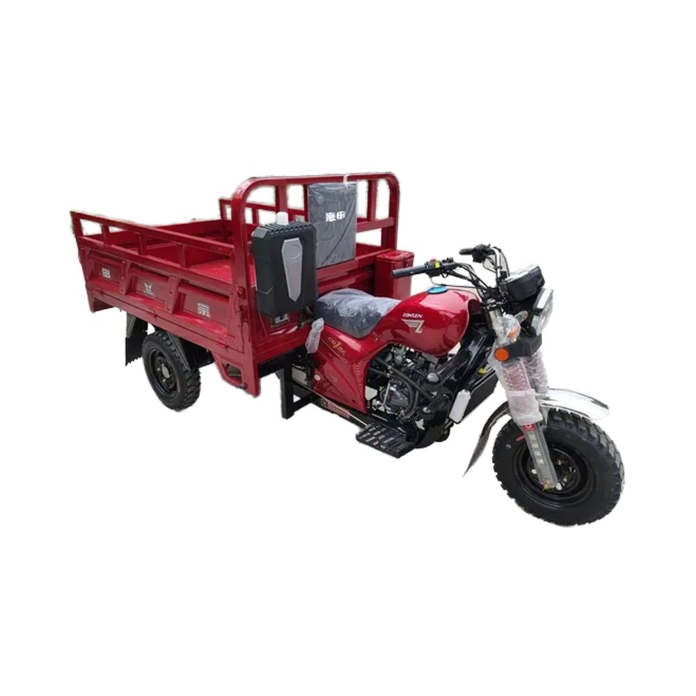 300cc Gasoline Tricycle Cargo and Passengertricycle Three Wheels Motorcycle