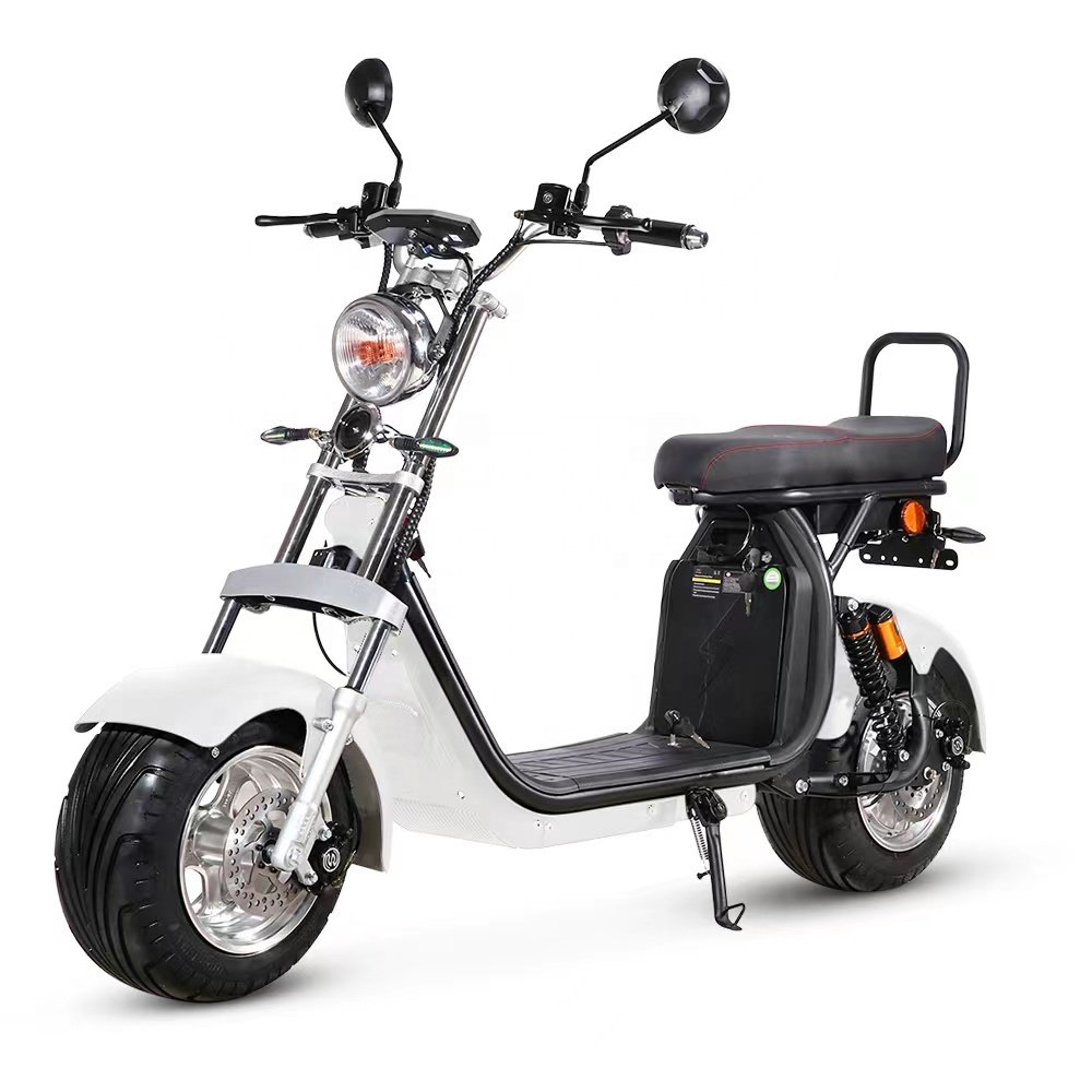 Professional Manufacturer 2 Wheels 1500w EEC Fat Tire Electric Bicycle Citycoco Scooter