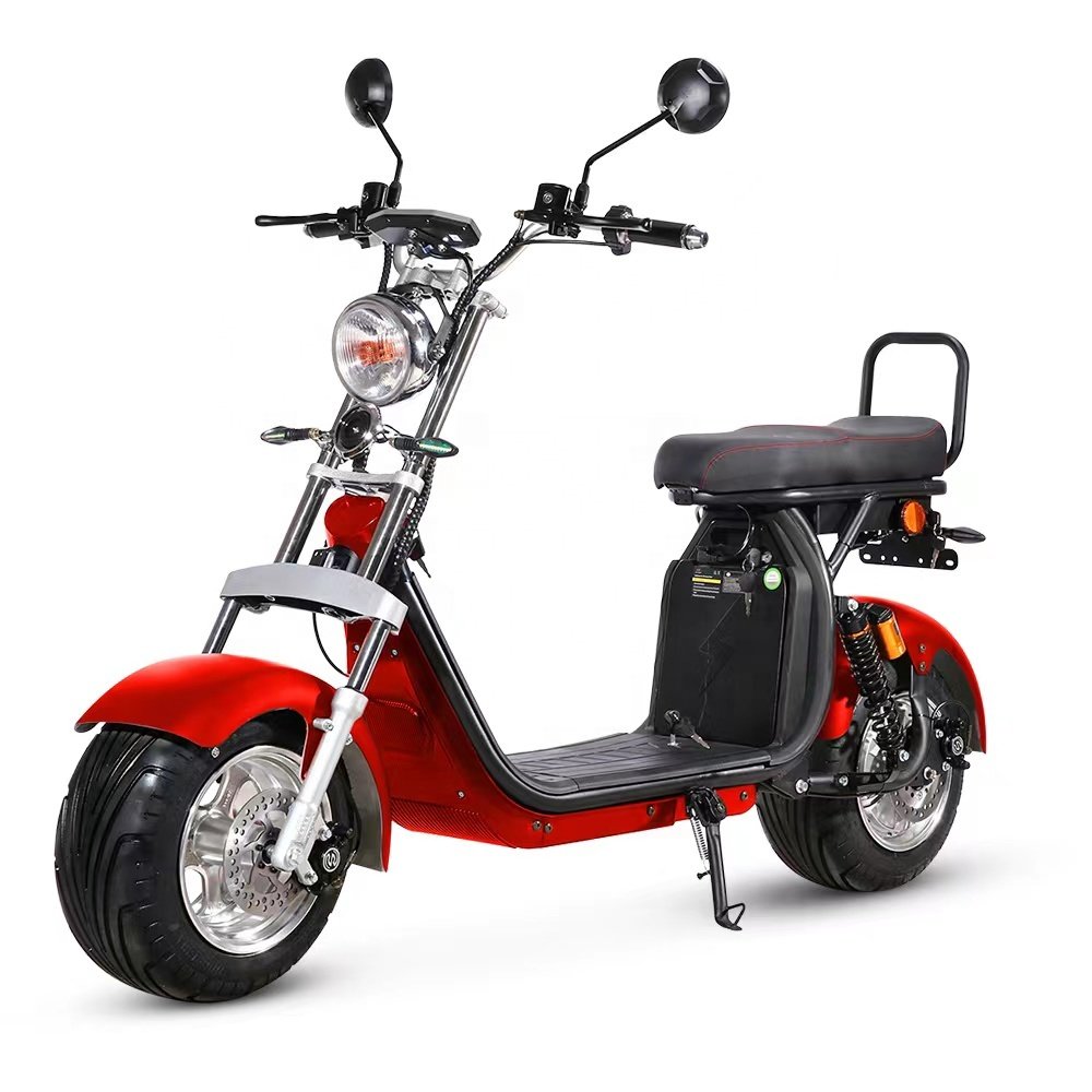 Professional Manufacturer 2 Wheels 1500w EEC Fat Tire Electric Bicycle Citycoco Scooter