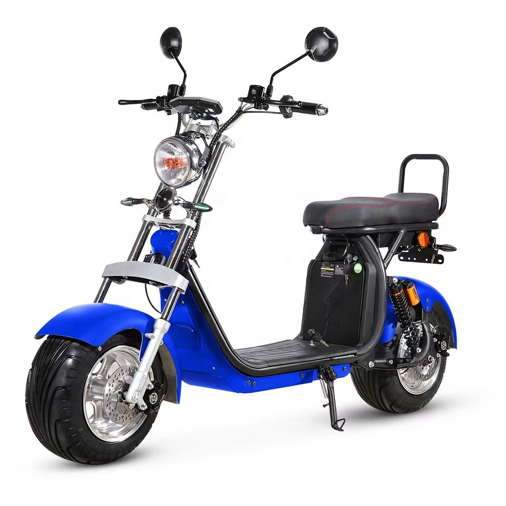 Professional Manufacturer 2 Wheels 1500w EEC Fat Tire Electric Bicycle Citycoco Scooter