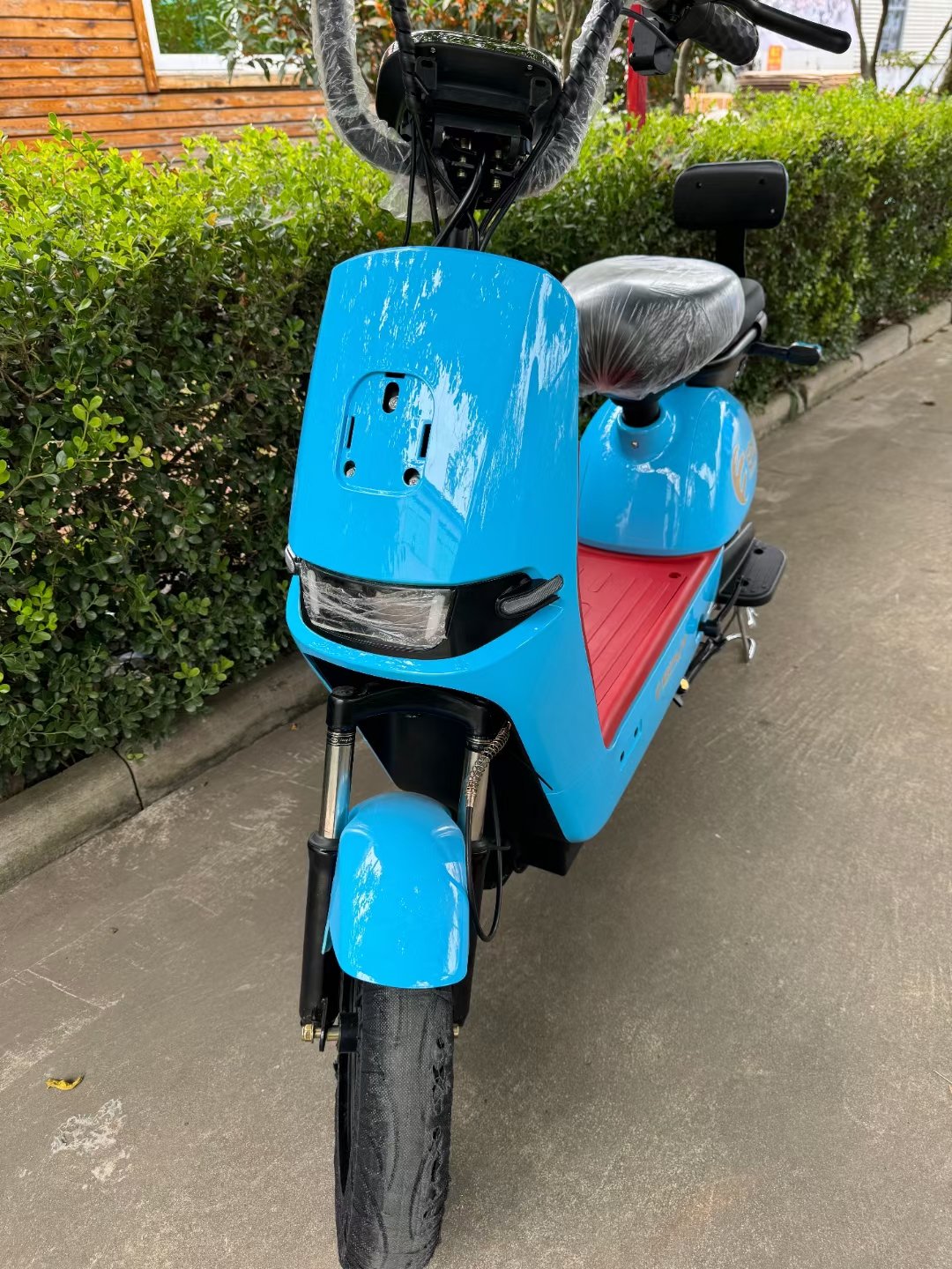 2023 Hot Selling Chinese Electric Bike,adults Electric Scooter