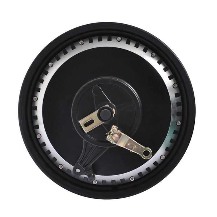 800W 60V 12 Inch Electric Wheel Motor for Electric Bicycle Disc Brakes