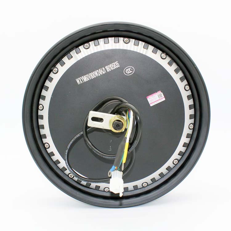 800W 60V 12 Inch Electric Wheel Motor for Electric Bicycle Disc Brakes