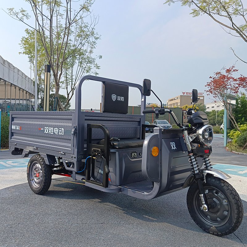 High Quality Three Wheeled Electric Scooter Suitable for Adults Urban Transport Tricycle with Drum Brake for Electric Tricycle