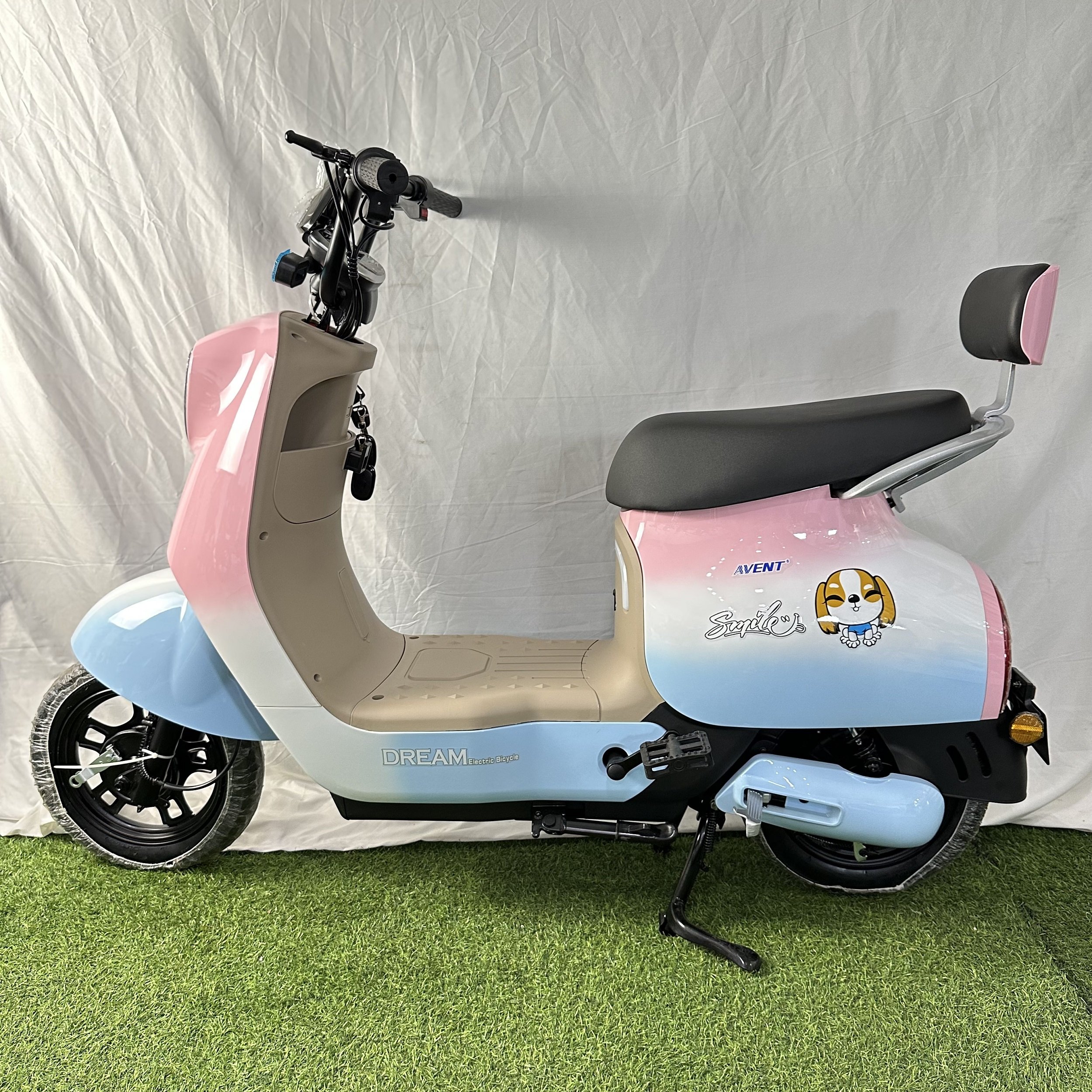 Top Sale Electric Bike with Fat Tire Various Colors Large Capacity Basket Simulation Leather Saddle Quite Motor Electric Bike