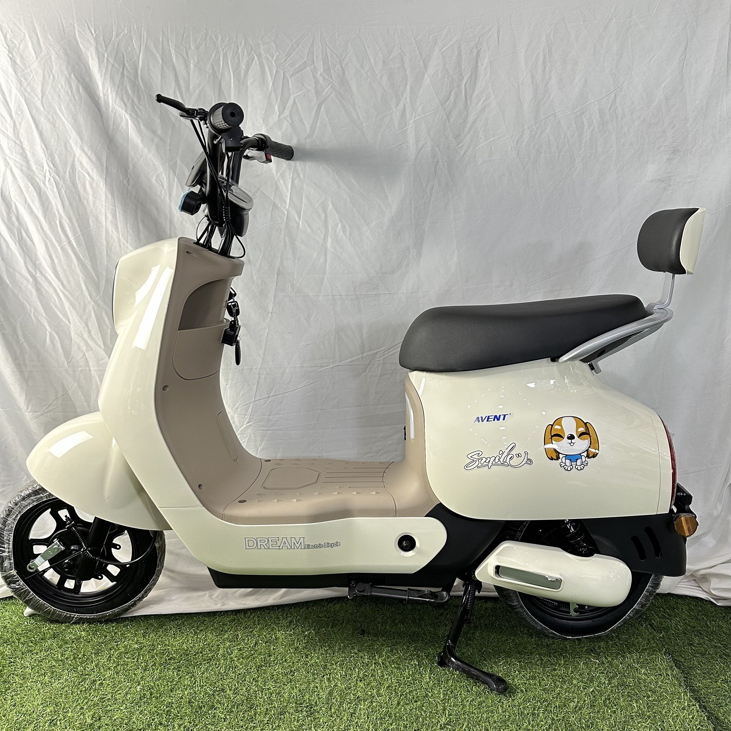 Top Sale Electric Bike with Fat Tire Various Colors Large Capacity Basket Simulation Leather Saddle Quite Motor Electric Bike