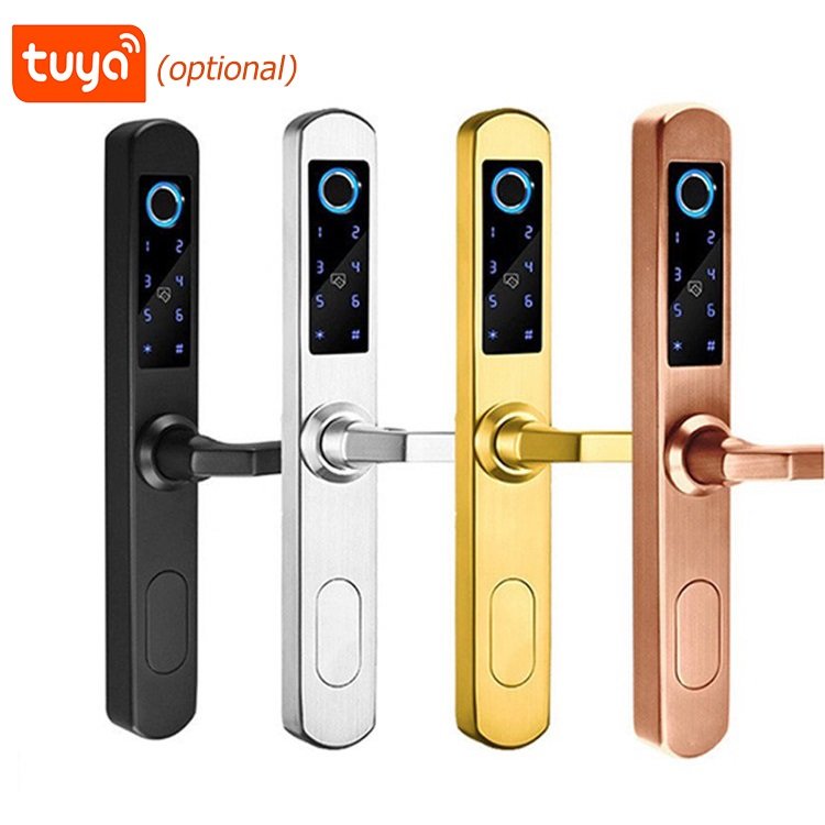 Atopkoo Waterproof Antifreezing Inteligente Biometric Fingerprint Outdoor Smart Lock