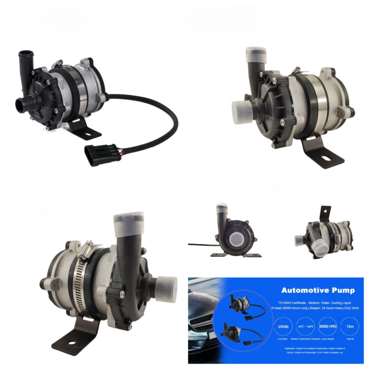 12V 24V High Pressure DC Brushless Hot Water Electric Circulation Pump for Vehicles Car Wash Radiator High Pressure Water Pump