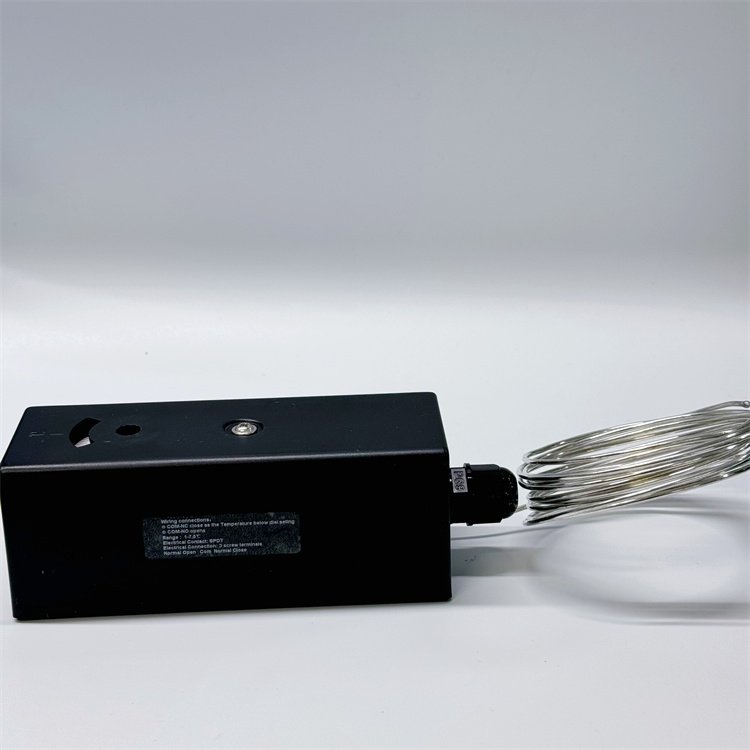 Factory Supply Antifreeze switch Antifreeze switch socket Antifreeze switch lite
