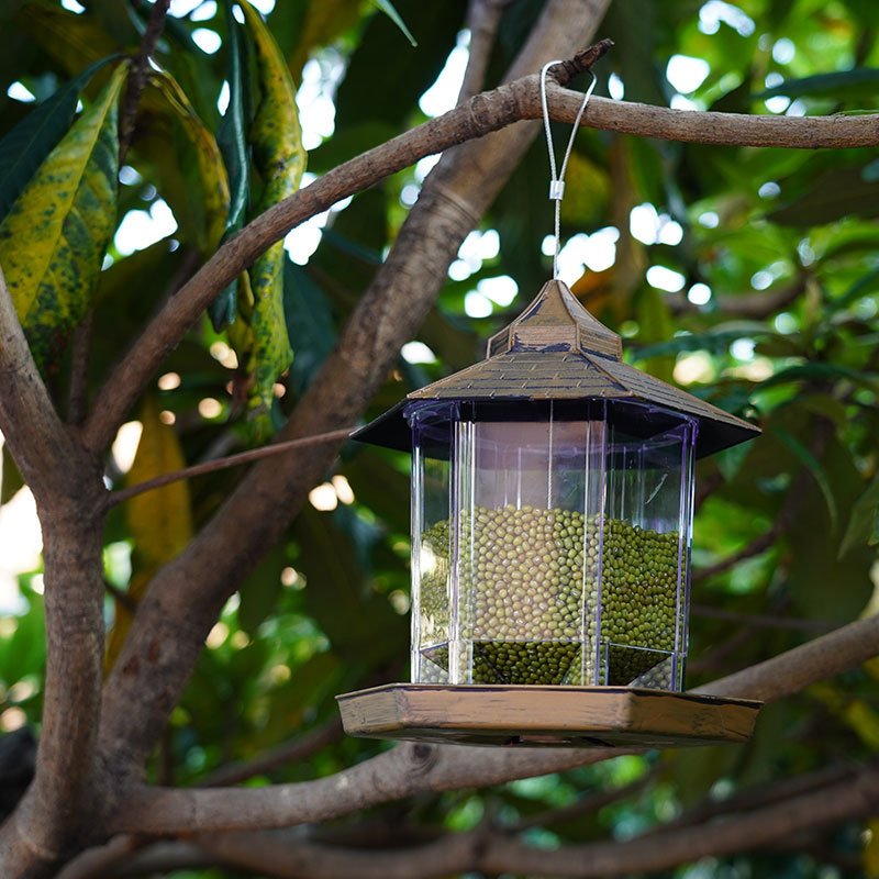 Gold Outdoor Hanging Bird Feeder Foldable Garden Bird Feeder with Sun Protection and Antifreeze Cage Plastic Automatic Features