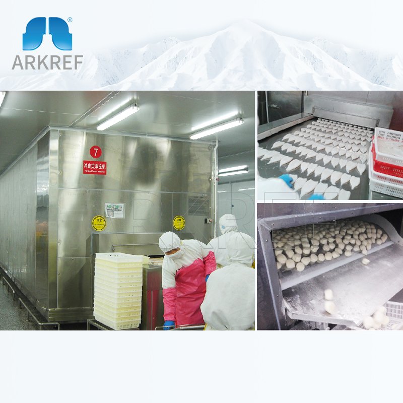 ARKREF IQF Tunnel Quick Freezer Instant Food Quick Freezer IQF Blast Freezer