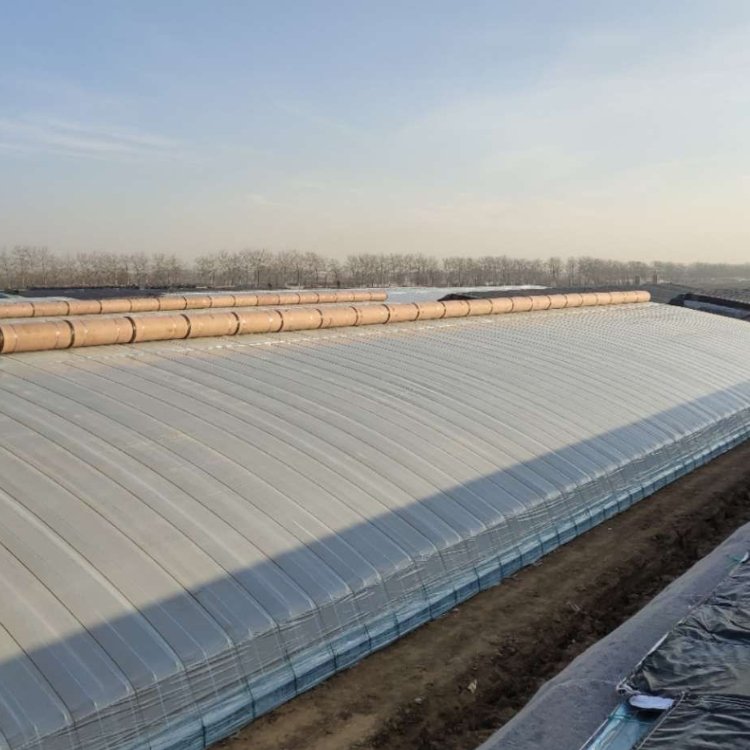 Clear Plant Cover Antifreeze Insulation Film for Gardening Farming Agriculture Greenhouse Film for Outdoor Use Cut Blow Molding