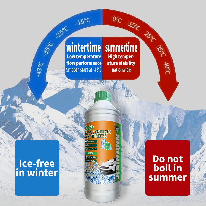 Private Label Green Antifreeze Concentrate Car Engine Frost and Heat Resistance for Auto