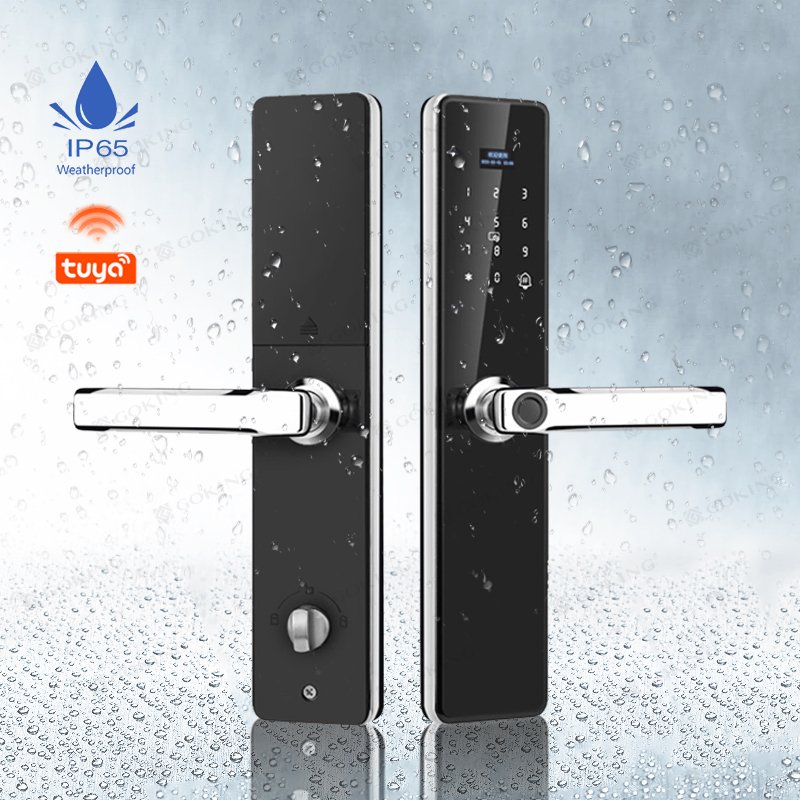 Lock TTlock Waterproof Fingerprint Door Smart Lock Aluminum Waterproof Wifi App Smart Door Lock