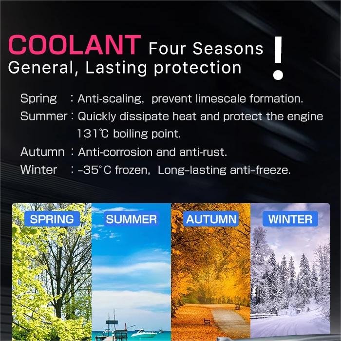 Japan MASUMA 2/4L Long Life Antifreeze Eythelene Glycol Coolant Engine Radiator Coolant for Car Red/Blue/Green