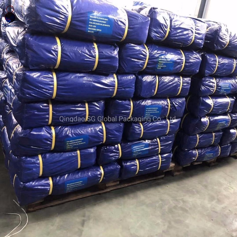Tarpaulin Coated Waterproof Truck Sliver Clear PE with Eyelets Heavy Duty Plastic Poly Tarp Fabric Pink Blue Orange Black White