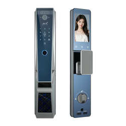 face+fingerprint+card+password+key