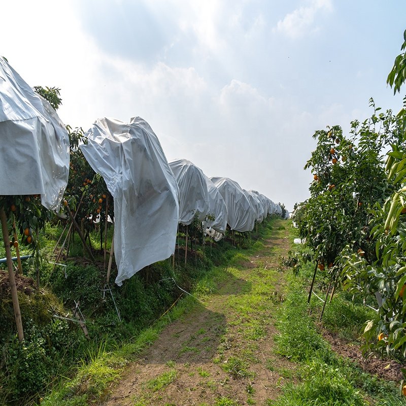 Gardent Used Covering Fruits Vegetables Plants Flowers Agriculture Cover PP Spunbond Nonwoven Fabric for Orchard