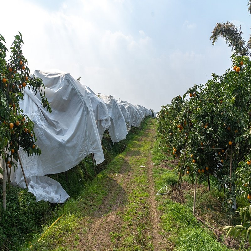 Gardent Used Covering Fruits Vegetables Plants Flowers Agriculture Cover PP Spunbond Nonwoven Fabric for Orchard
