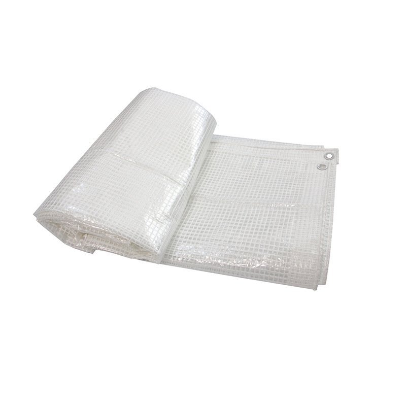 Specialty Manufacturers Processing PE Transparent Grid Cloth White Greenhouse Cover Rainproof Antifreeze Mobile Garden