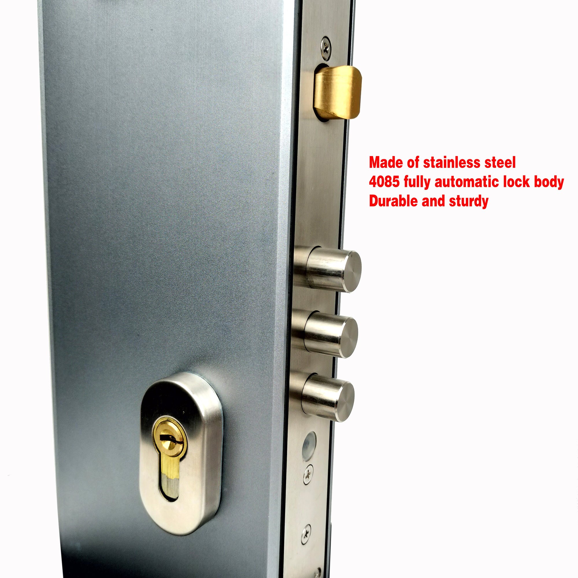 Courtyard Rainproof Antifreeze Gate Built-in Aluminum Lock Full Automatic Electronic Biological Fingerprint Door Lock