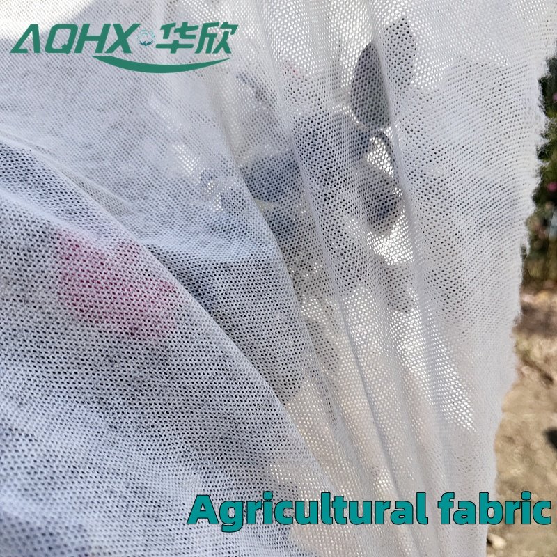 Cotton Nonwovens Plant Fiber Materials for Agricultural Spunbond High Quality Biodegradable Nonwovens