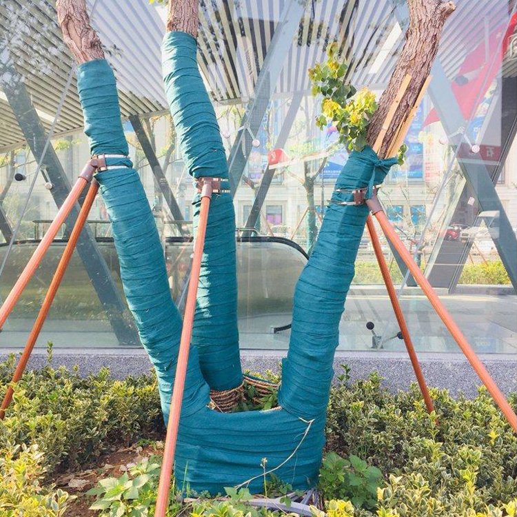 Frost Coldness Protection Plants Fruit Tree Trees Trunk Guard Protector Fabric Wraps for Warm Keeping Moisturizing Protecting