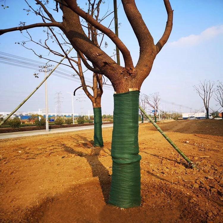 Frost Coldness Protection Plants Fruit Tree Trees Trunk Guard Protector Fabric Wraps for Warm Keeping Moisturizing Protecting