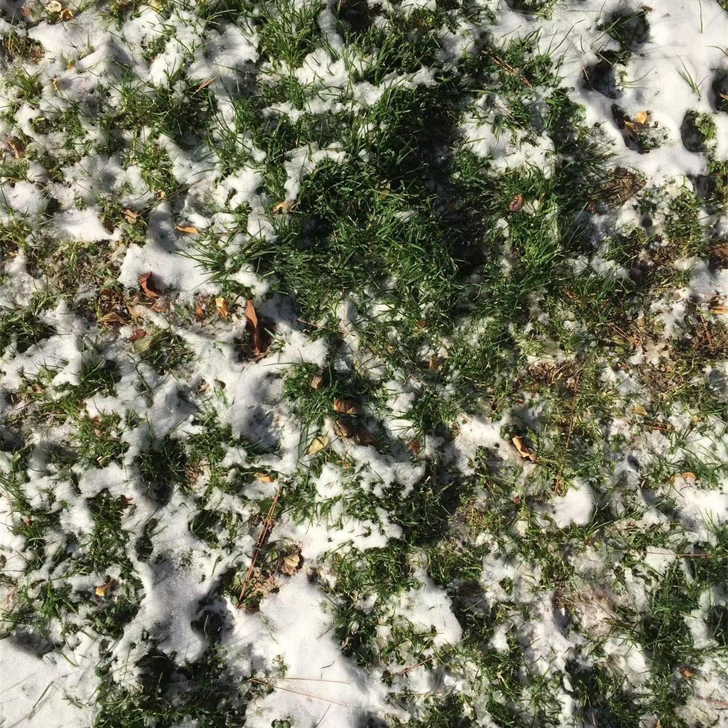 Snow Thaw Agent CMA Series