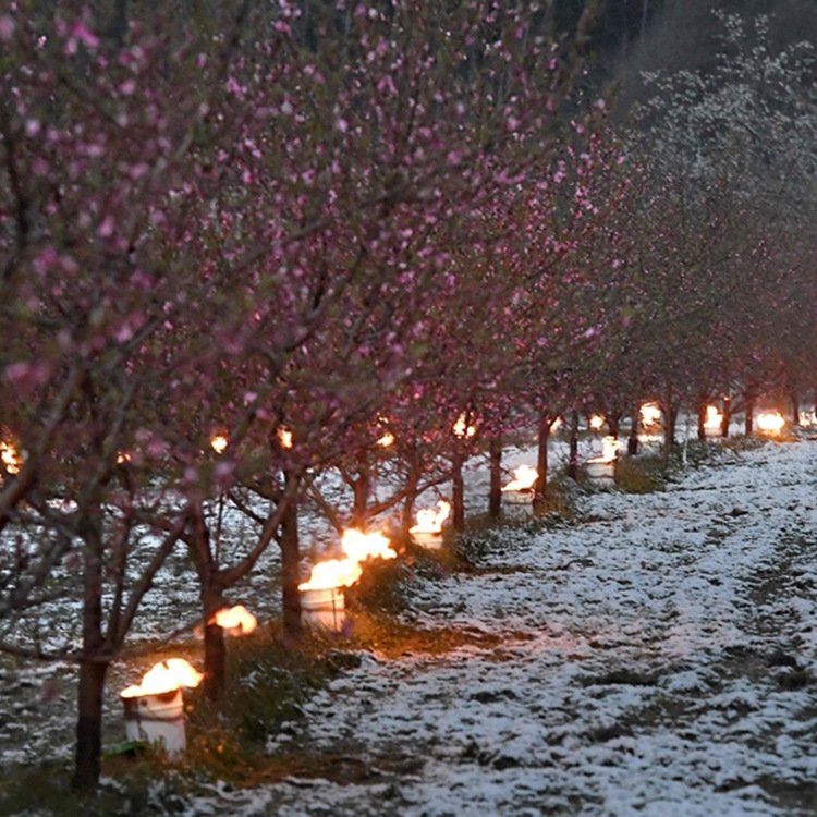 Huaming Wholesale Large Orchard Night Anti-Frost Candle Vineyard Iron Bucket Packaging Paraffin Wax Antifreeze Candle