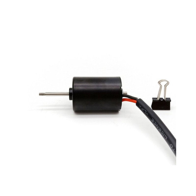 12v 24v 28mm 4200RPM 4400RPM Hot MW2838 High Speed High Torque Long Lifespan DC Brushless Motor for Robot Automatic Door Lock