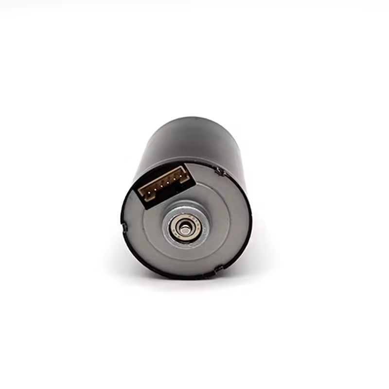 12v 24v 28mm 4200RPM 4400RPM Hot MW2838 High Speed High Torque Long Lifespan DC Brushless Motor for Robot Automatic Door Lock