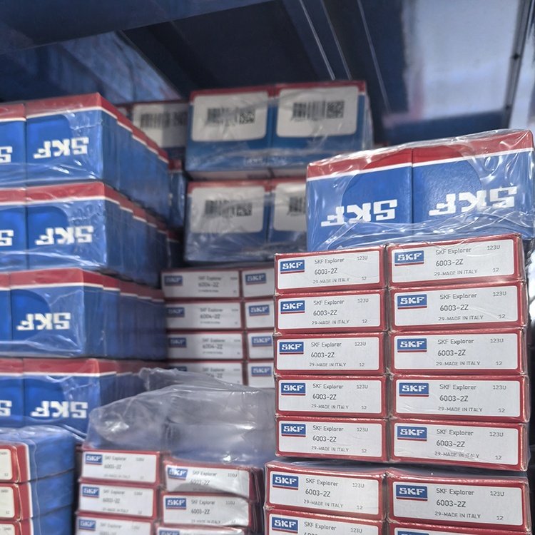High Quality SKF Deep Groove Ball Bearing 6003 2Z SKF Bearing Price