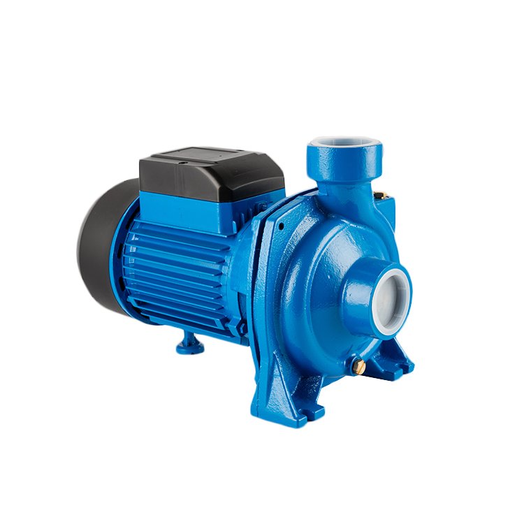 Chinese Brand High Head Booster Auto Suck Farm Irrigation Single Phase Electric Pumps Low Cost Water 2HP Centrifugal Pump