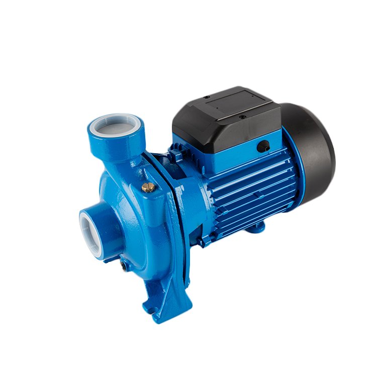 Chinese Brand High Head Booster Auto Suck Farm Irrigation Single Phase Electric Pumps Low Cost Water 2HP Centrifugal Pump