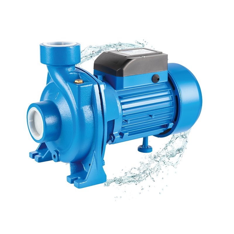 Chinese Brand High Head Booster Auto Suck Farm Irrigation Single Phase Electric Pumps Low Cost Water 2HP Centrifugal Pump